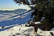 77 Scendiamo al sole dei Piani d'Alben